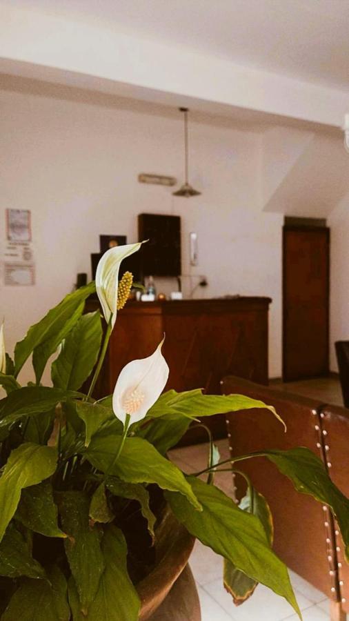 Tilian Guest house *